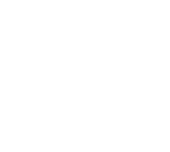 House Icon
